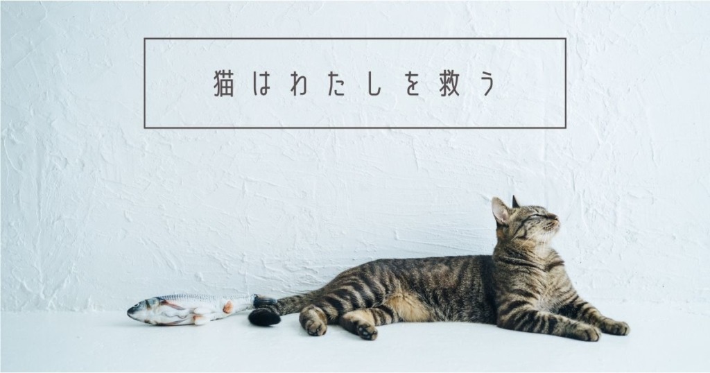 猫とシンプルな文字のアイキャッチ画像